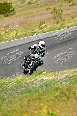 media/Apr-13-2024-Classic Track Day (Sat) [[9dd147332a]]/Group 3/Session 2 (Turns 5 and 6)/